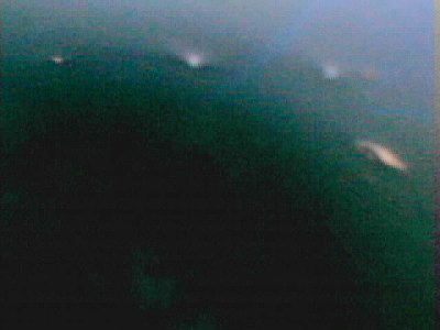 20110106_CO135724.jpg