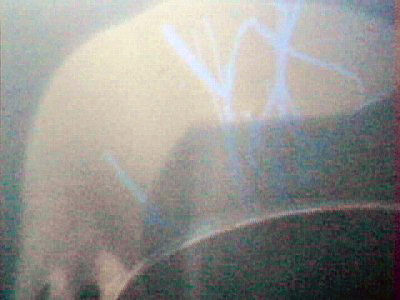 20110106_CO135947.jpg